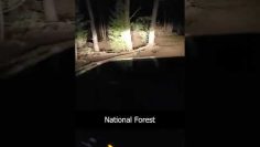 Private: [ID: 7fdbyouPNq0] Youtube Automatic