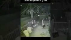 Private: [ID: aafwpbAYKds] Youtube Automatic