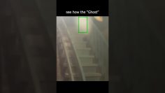 Private: [ID: NFYLG0-0kcY] Youtube Automatic