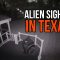 Alien Spotted in Her Backyard | The Simuologist